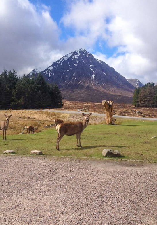 Kings House Glencoe West Highland Way Hotels