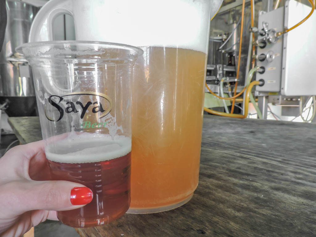 Saya Beer Brewery Tour in La Paz I 10 Things to do in La Paz