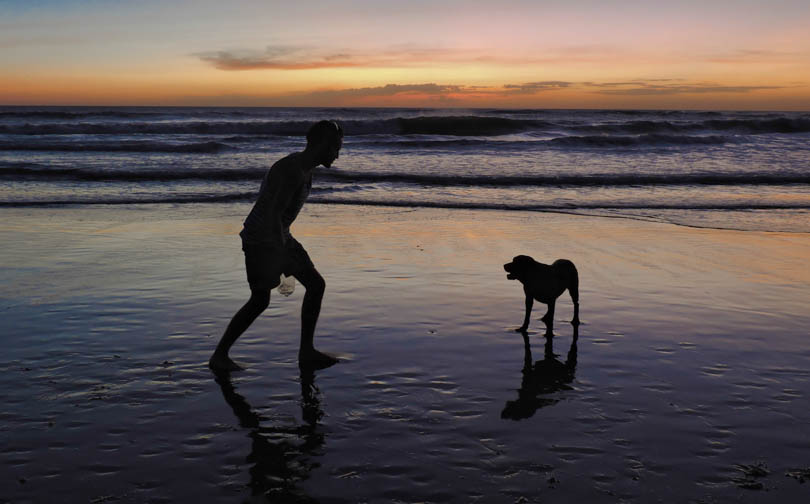 Las Penitas Leon Sunset Nicaragua Dog