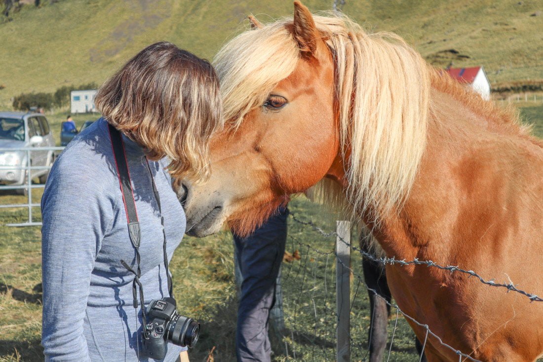 Merino Wool Top Iceland