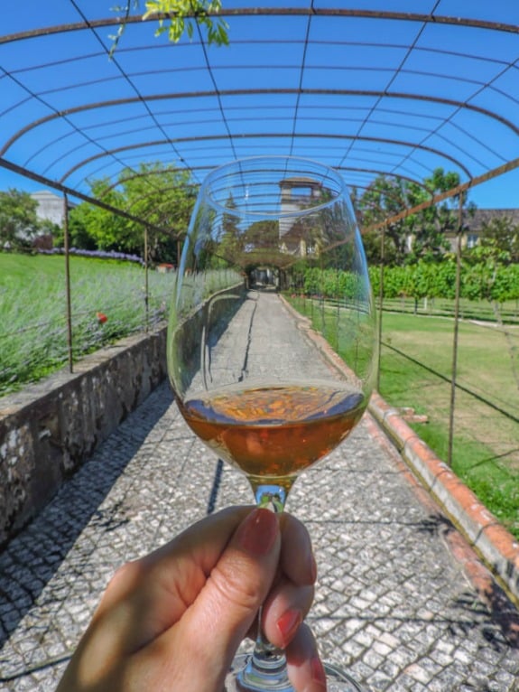 Jose Maria da Fonseca Wine Tour I Lisbon Day Trips