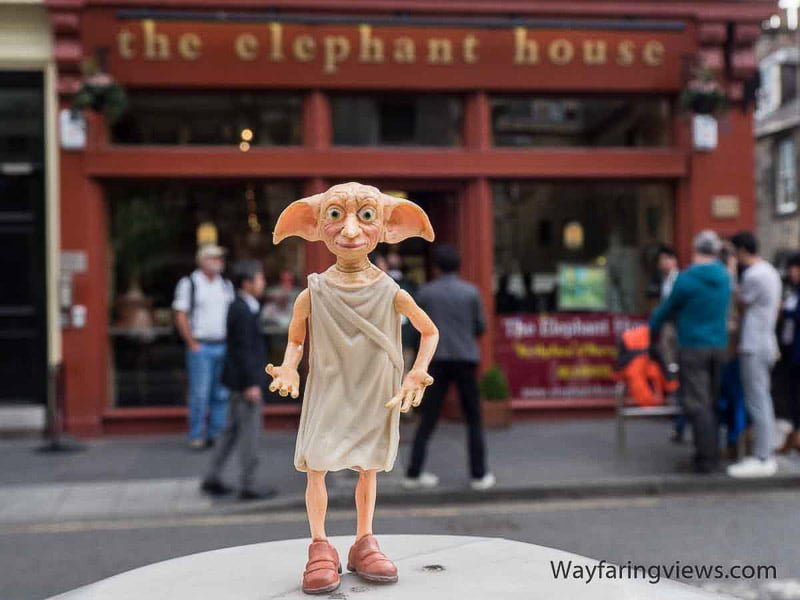 Dobby at The Elephant House credit Wayfaring Views | Things to do, see, eat in Edinburgh