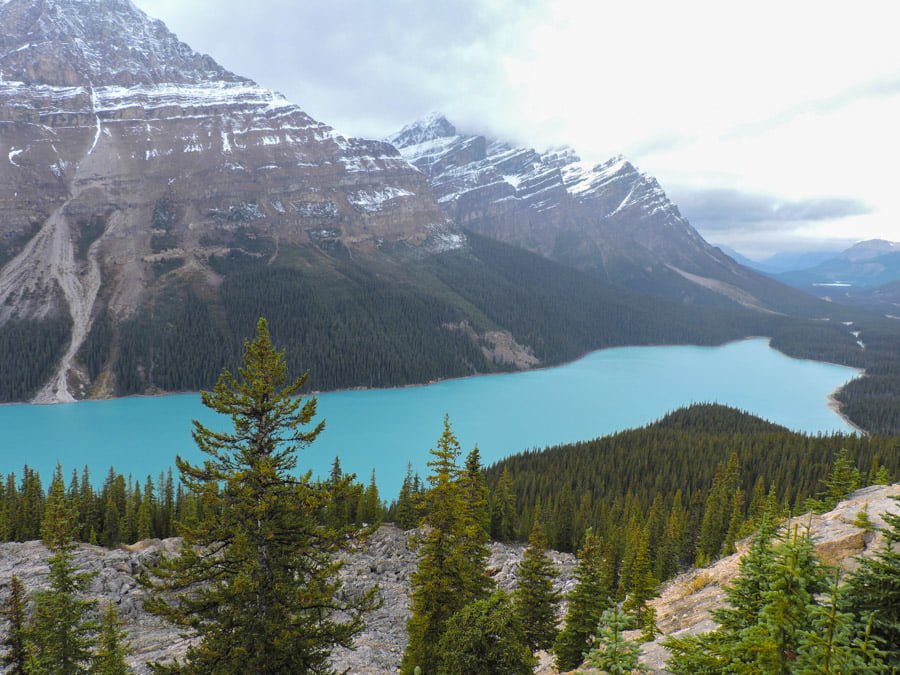 Turquoise Peyto Lake in the Rockies Canada