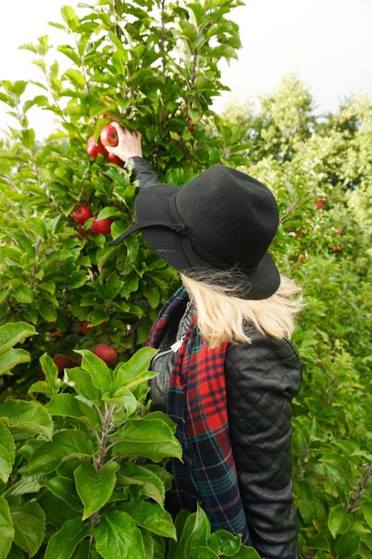 Women in fall clothes picking an apple at apple farm