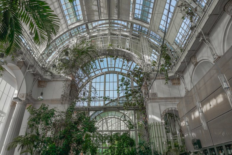 Palmenhaus Burggarten Things to do in Vienna 