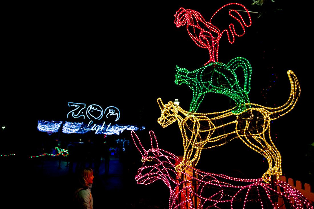 Oregon Zoo Lights Portland in December