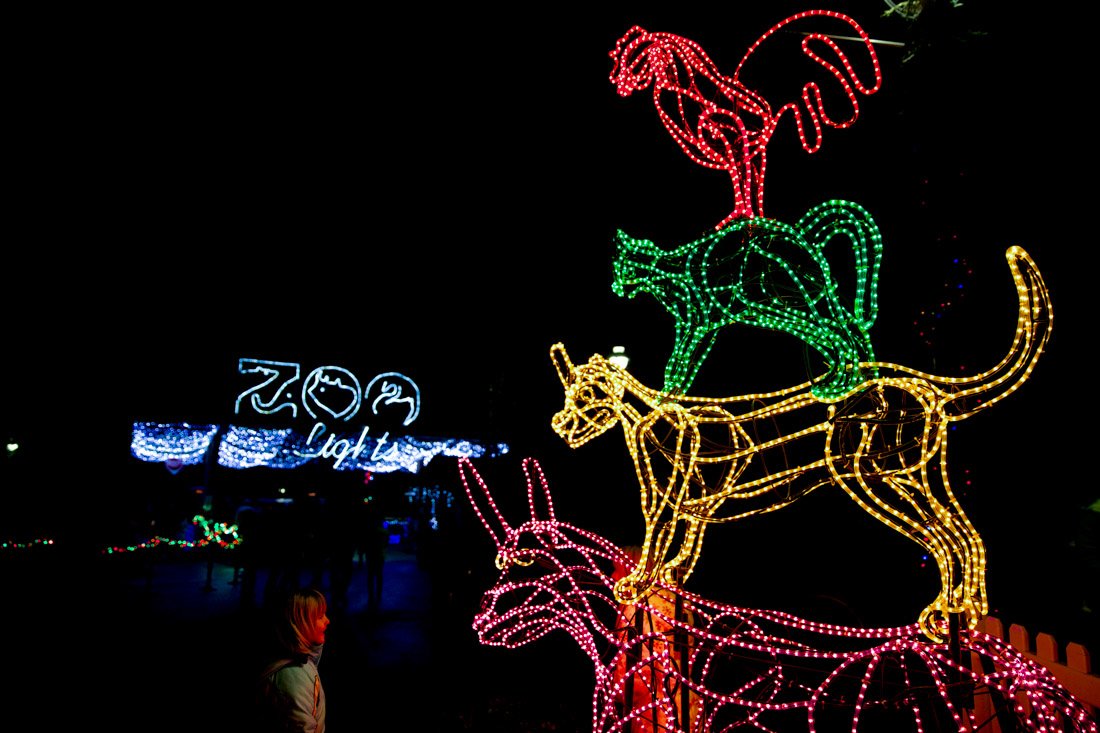 Oregon Zoo Lights in dark in Portland