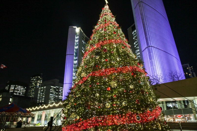 Christmas tree Toronto