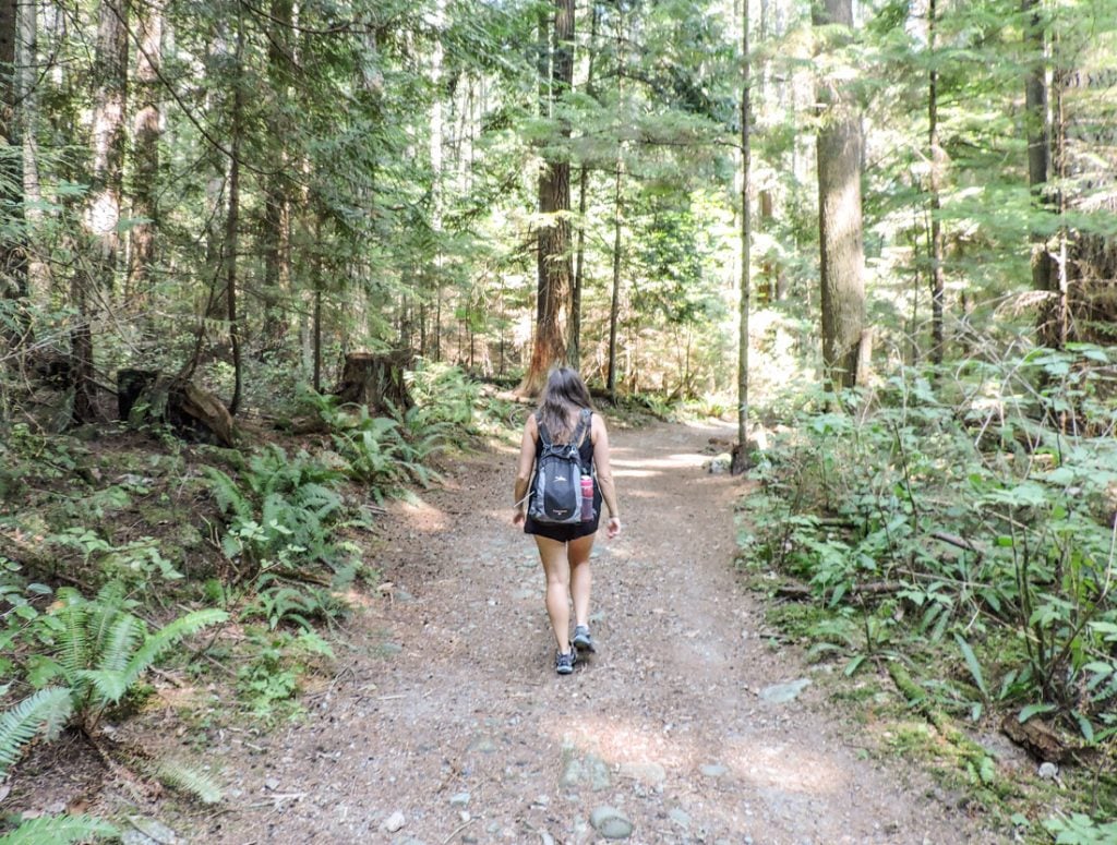 Soames Hill hike, Gisbons, Canada. Gemma, walking boots, day bag, trees