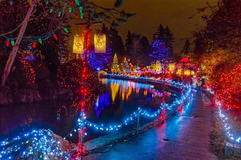 Christmas Lights Reflection Van Dusen Garden Vancouver 
