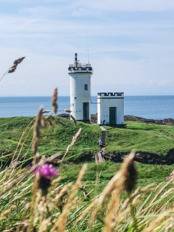 Ellie Lighthouse Fife, flowers, grass, blue skies