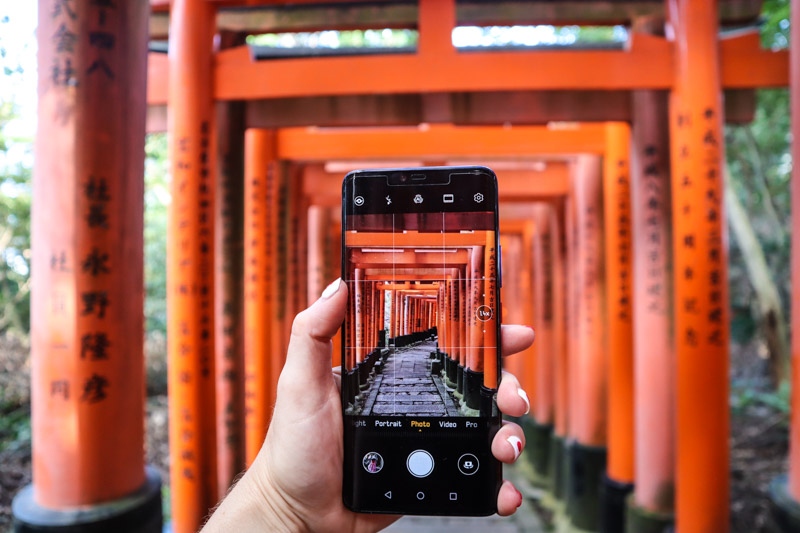 Fushimi Inari Shrine Camera Shot