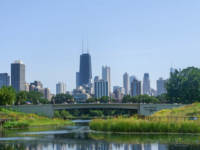 Chicago Skyline