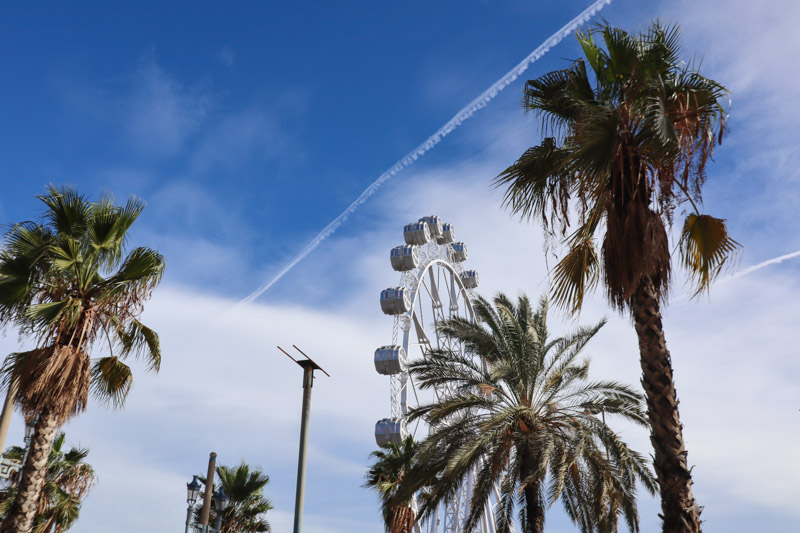 Palm Trees Ferris Wheel Port Vell Barcelona