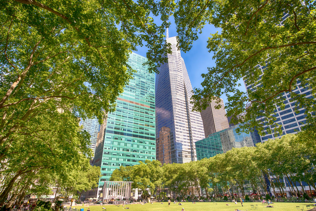 Lush trees at Byrant Park. NYC