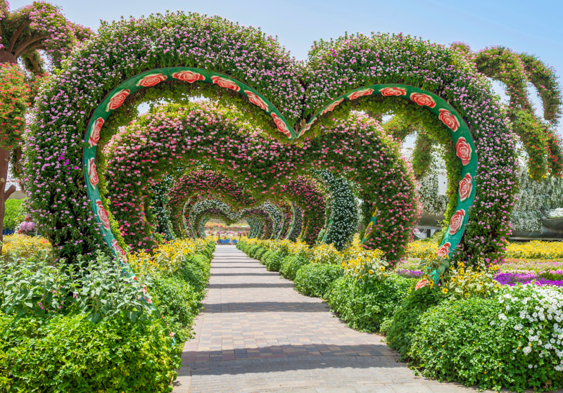 Miracle Garden Hearts Dubai