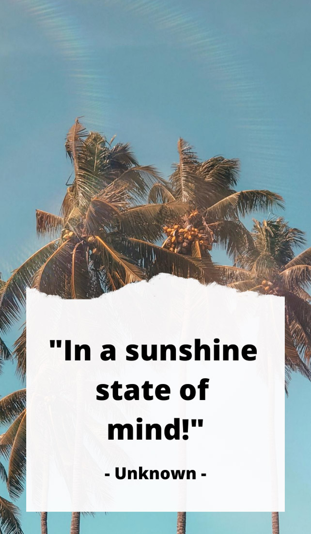 In a sunshine state of mind. Sunshine quotes, quotes about sunshine, positive quotes, inspirational quotes, motivational quotes, sunny, beach, wellness, self help, calm, happy, smile, Instagram captions. 
