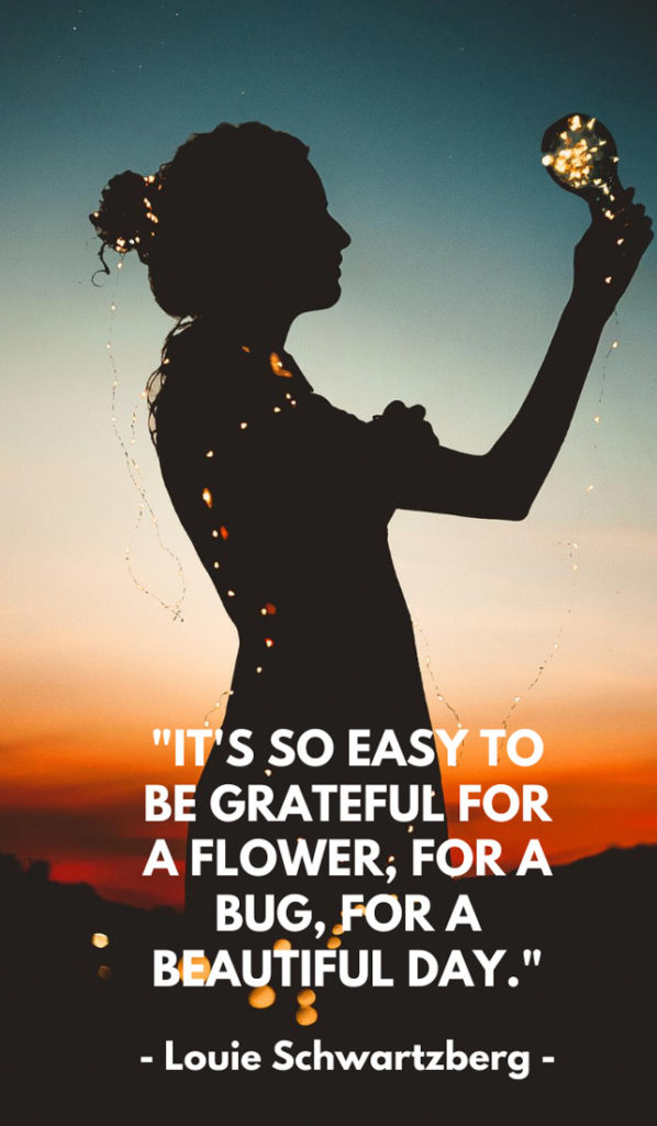 It's so easy to be grateful for a flower, for a bug, for a beautiful day. Sunshine quotes, quotes about sunshine, positive quotes, inspirational quotes, motivational quotes, sunny, beach, wellness, self help, calm, happy, smile, Instagram captions.
