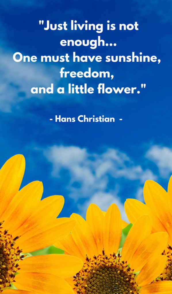 Just living is not enough... One must have sunshine, freedom, and a little flower.