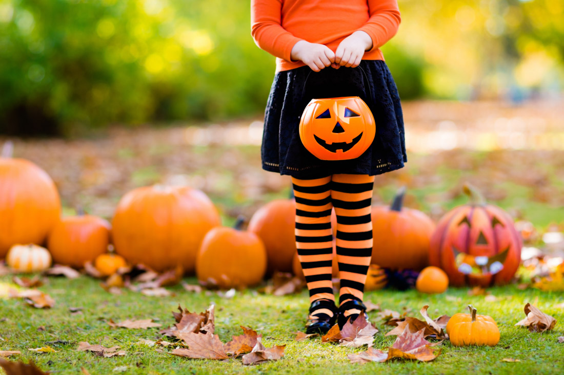 Kid. Pumpkin. Fall scene