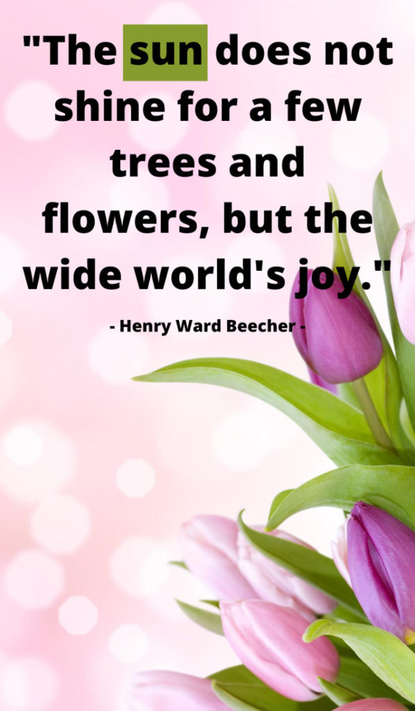 The sun does not shine for a few trees and flowers, but the wide world's joy. Sunshine quotes, quotes about sunshine, positive quotes, inspirational quotes, motivational quotes, sunny, beach, wellness, self help, calm, happy, smile, Instagram captions. 