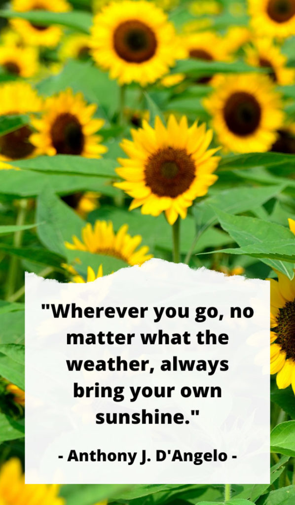 "Wherever you go, no matter what the weather, always bring your own sunshine.