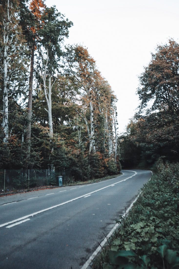 Meikleour Beech Hedge in Perthshire