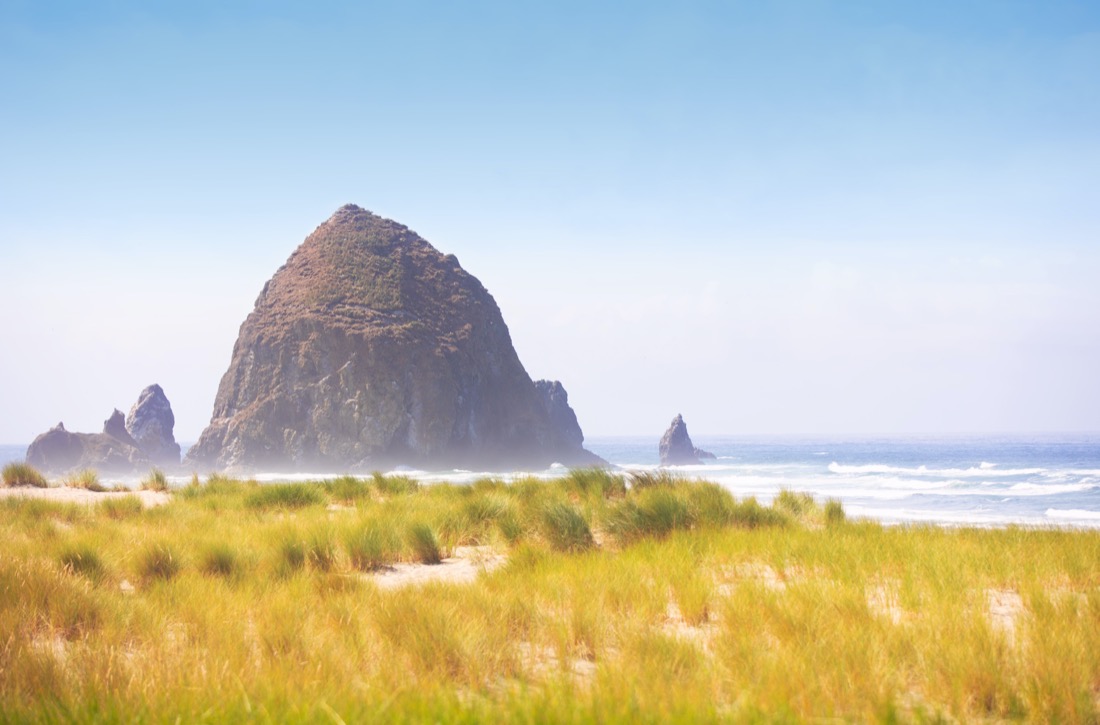 Cannon Beach Oregon landscape of Haystack Rock and grassy beach.