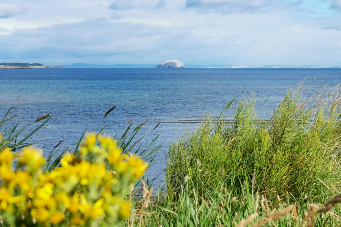 Bass Rock Beach Dunbar Scotland Bowie