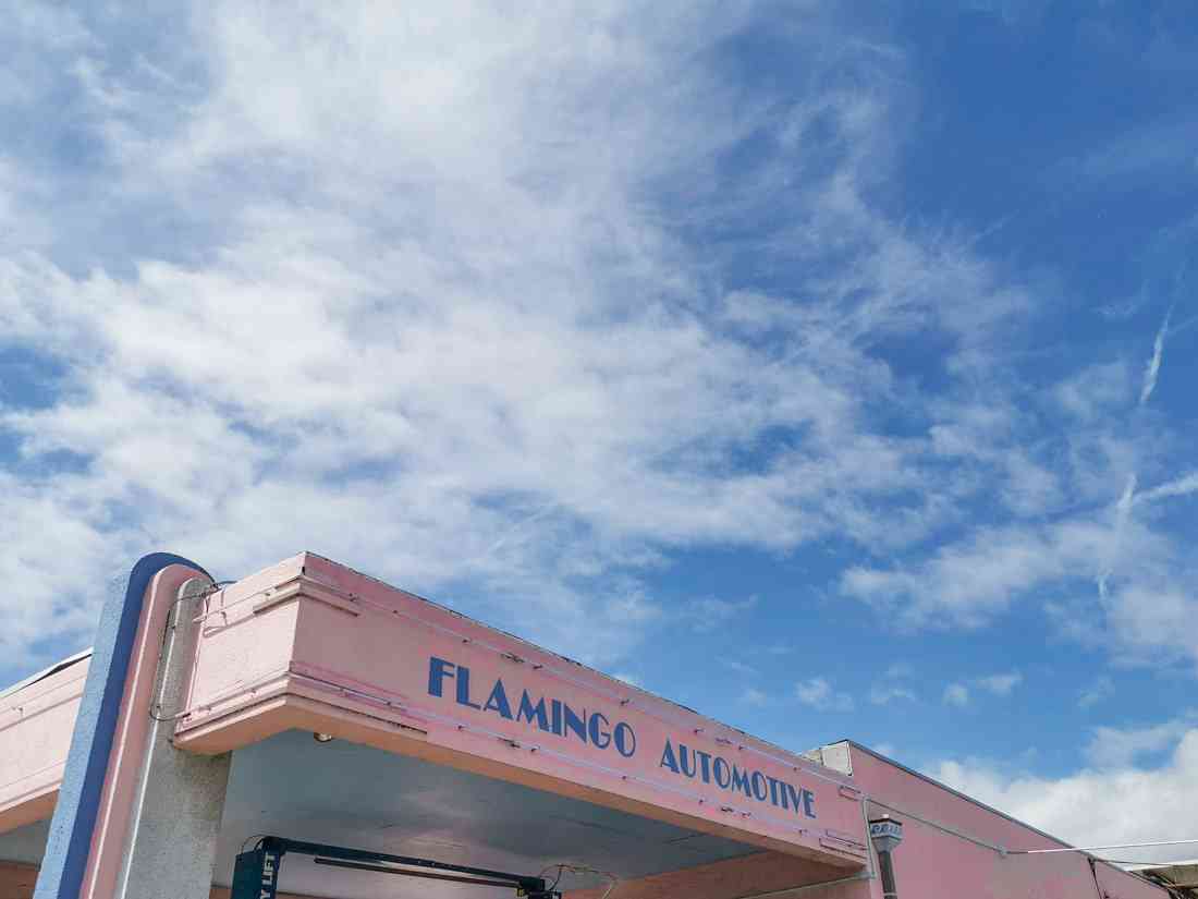 Flamingo Automotive Austin