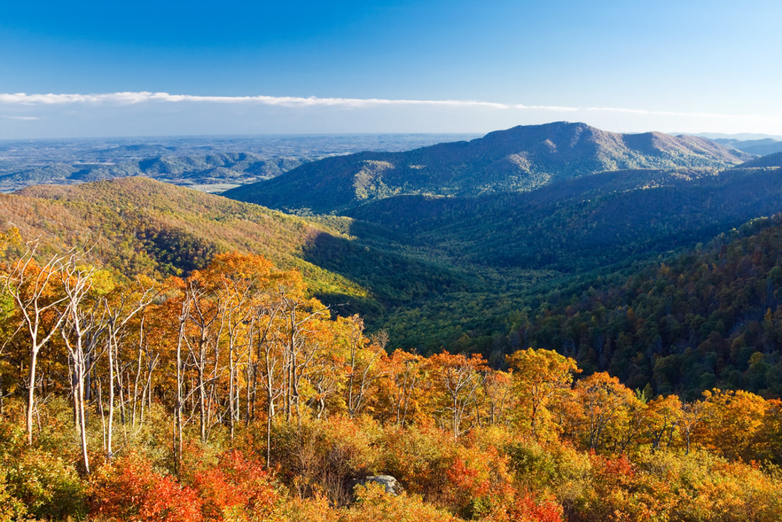 Fall colors and green mountain at Shenandoah National Park