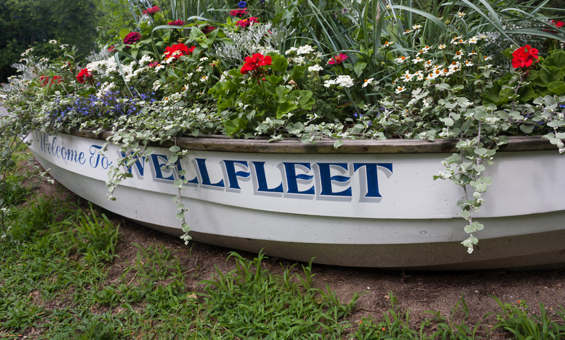 Boat filled with flowers Wellfleet, Massachusettes.