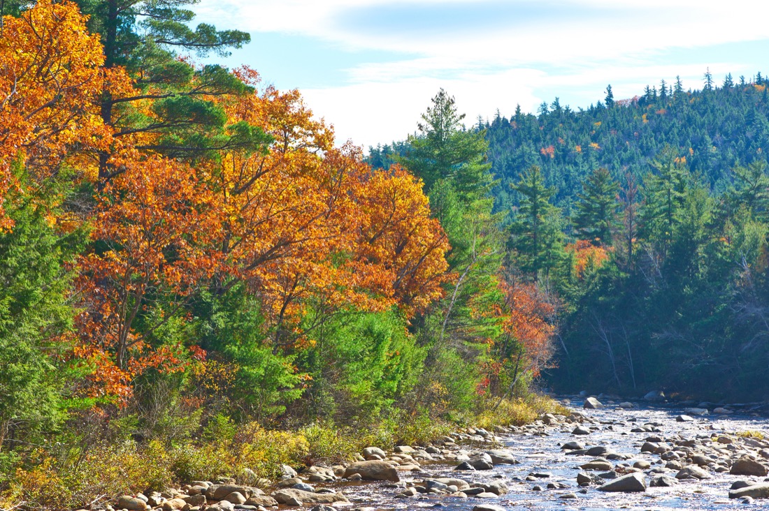 White Mountain National Forest