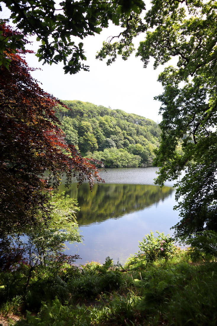 Aros Park Mull Scotland