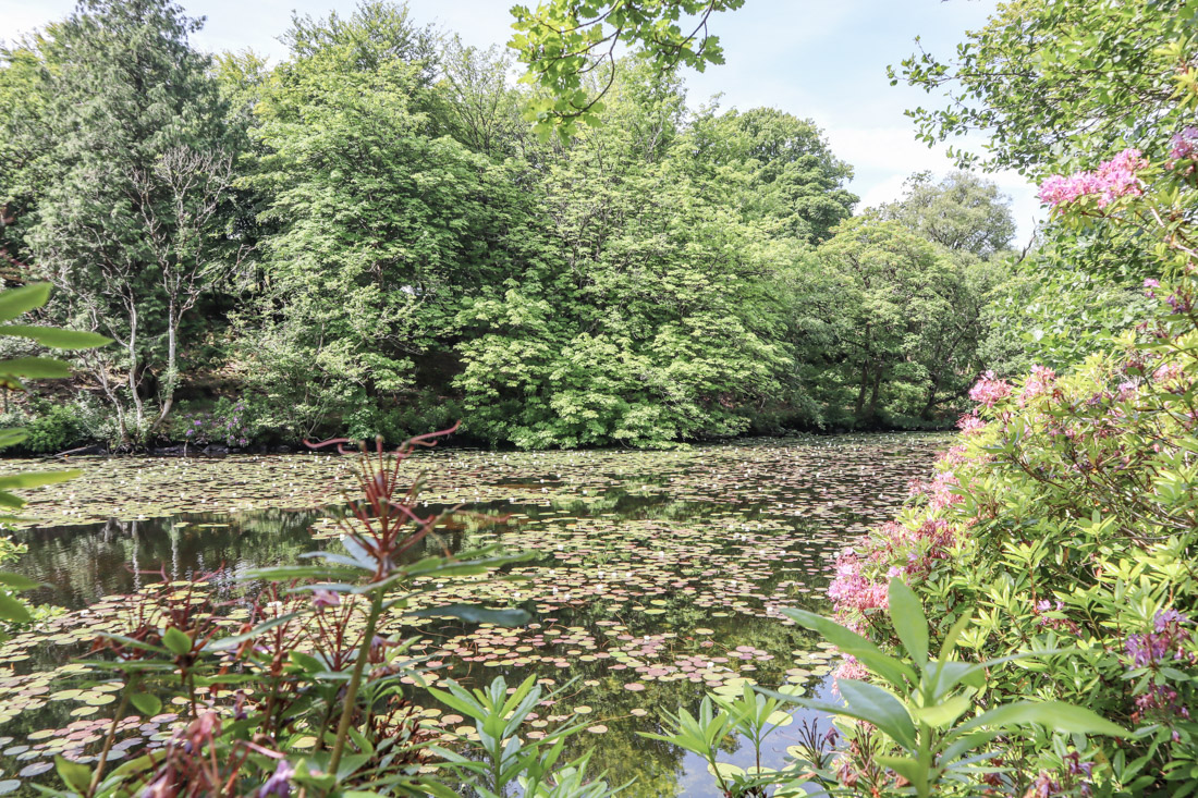 Aros Park Pond Mull Scotland