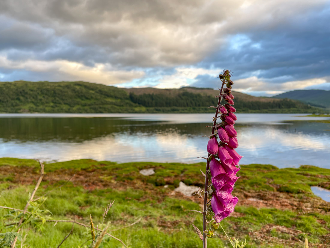 Strontian. Ardnamurchan Hills Scotland