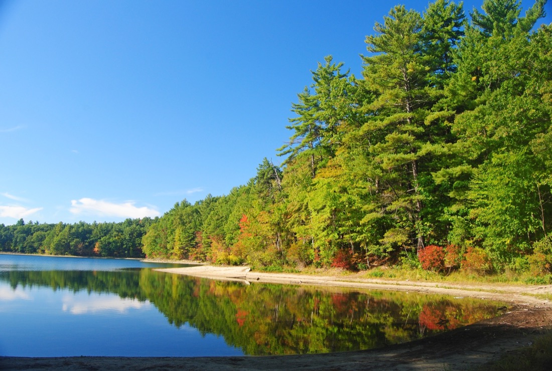The Walden Pond near Concord, Massachusetts, USA