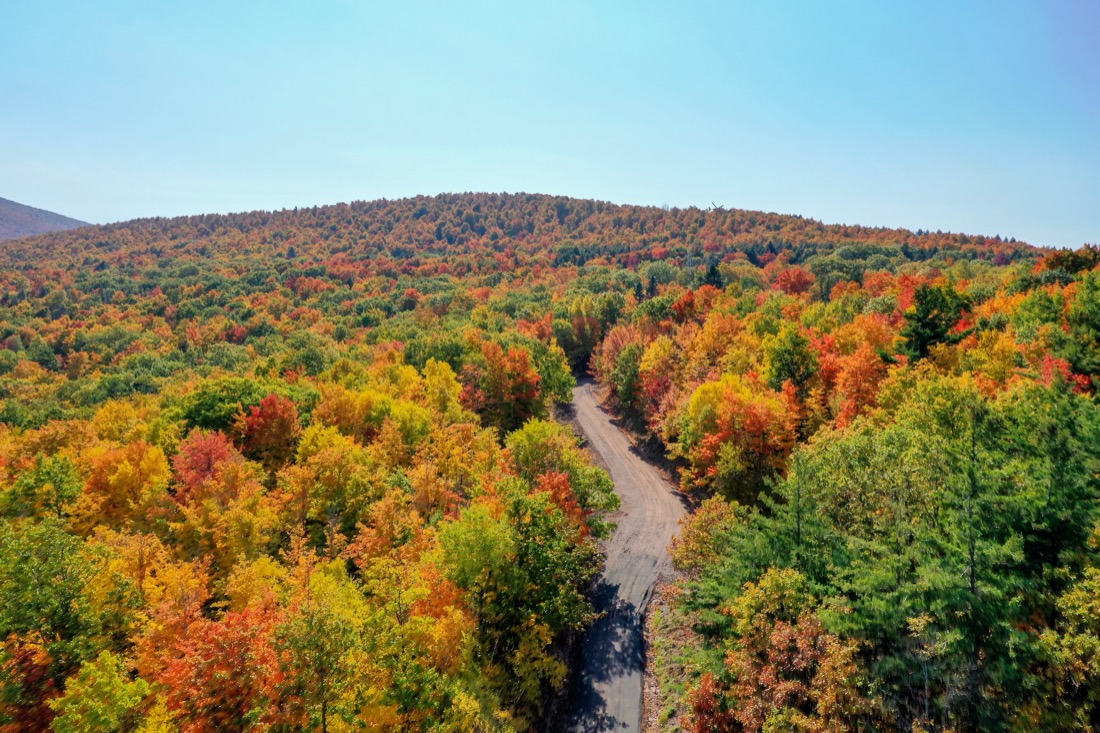 Aerial view of fall foliage along the Catskill Mountains in upstate New York along Five State Lookout.439076974_l-2015