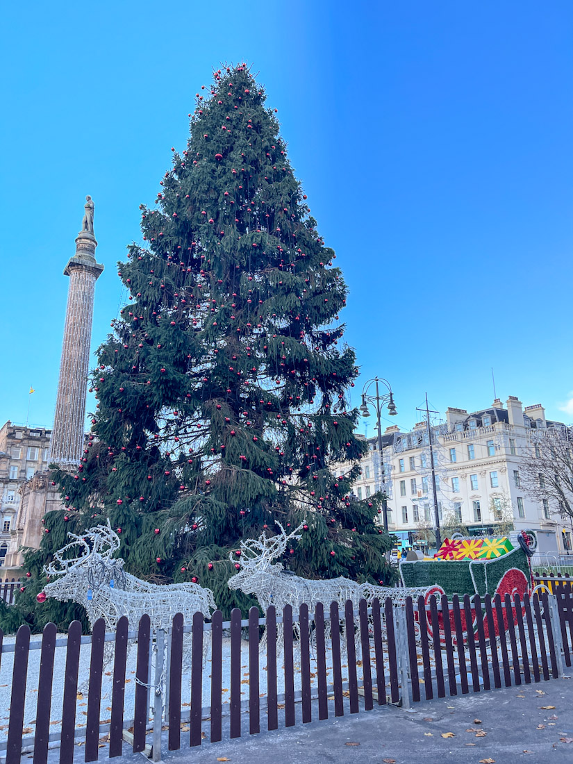 St George’s Square Christmas tree in Glasgow