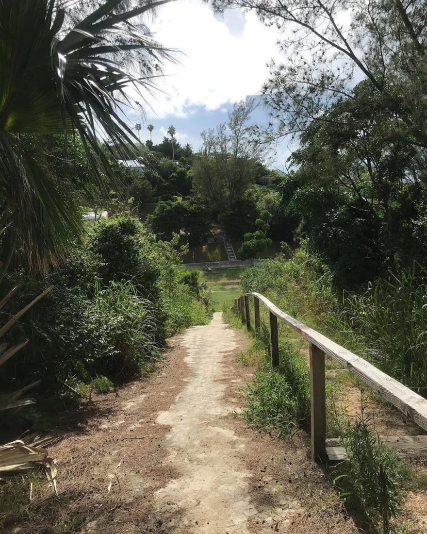 Bermuda Railway Trail sandy path with trees