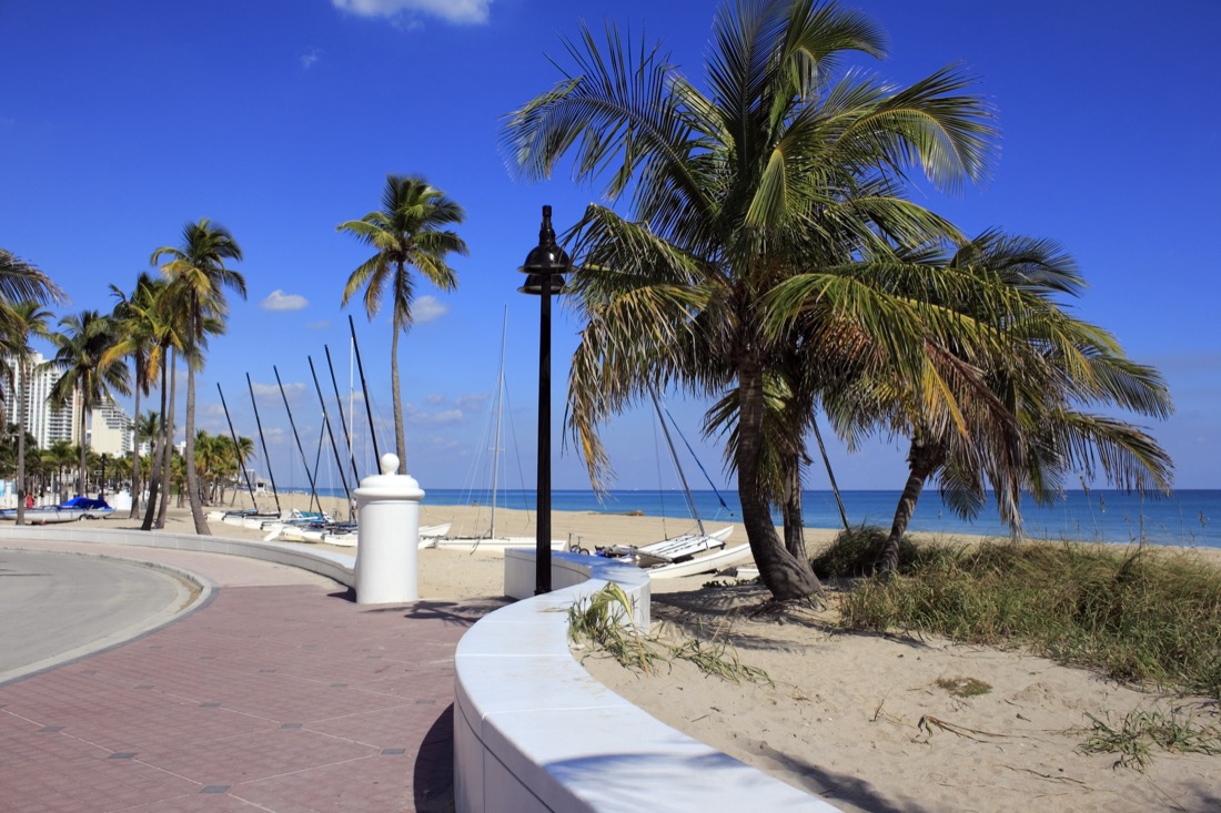 Fort Lauderdale Beach Park Looking North Palm trees. Florida.