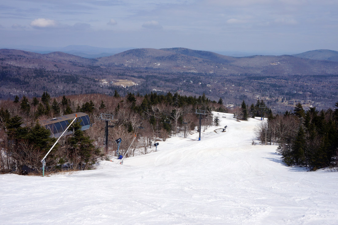 Ski slop with trees in New England
