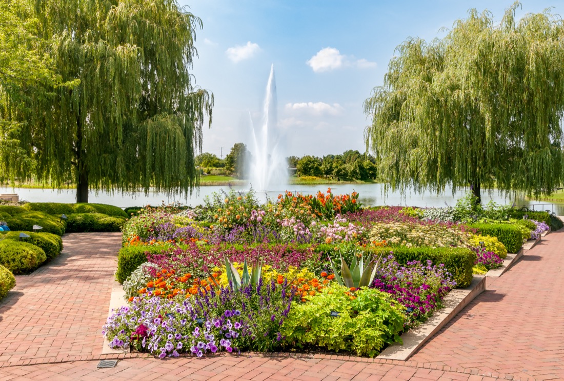 Pretty flowers and water feature of Chicago Botanic Garden, Glencoe