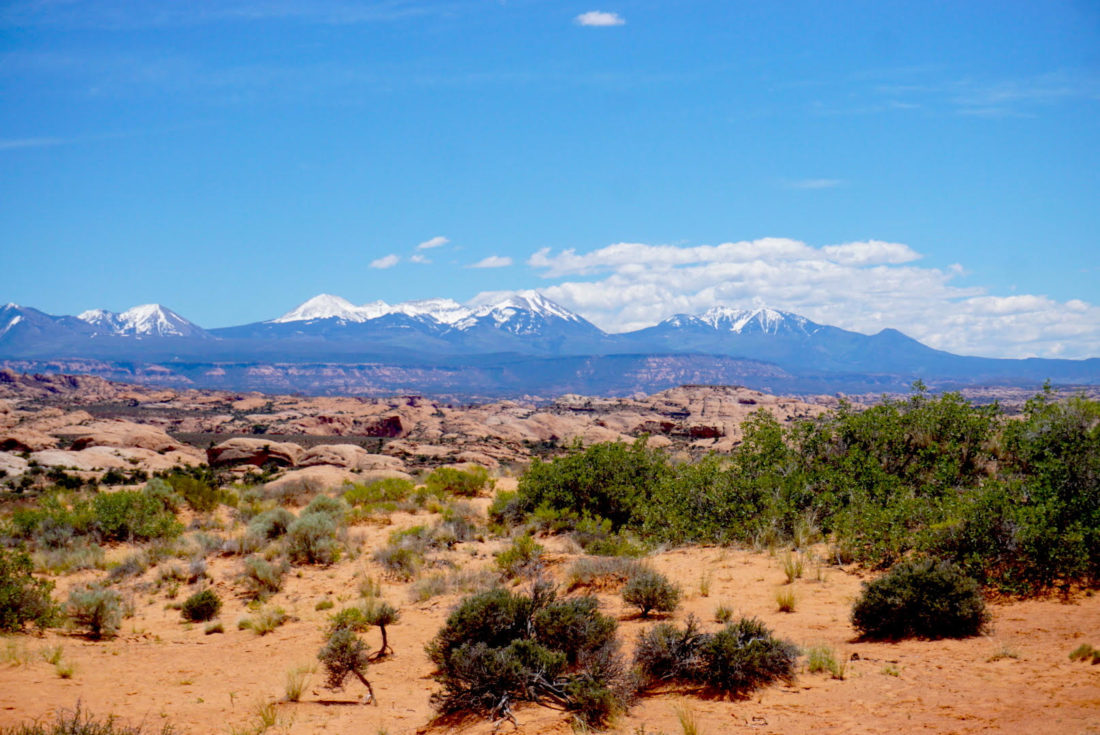 Bright blue skies over Arches National Park