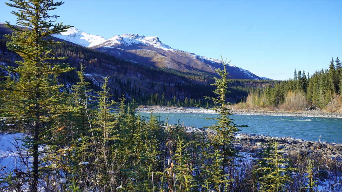 Denali National Park lake with mountain