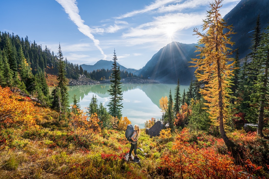 Orange fall colors at North Cascades Washingtn