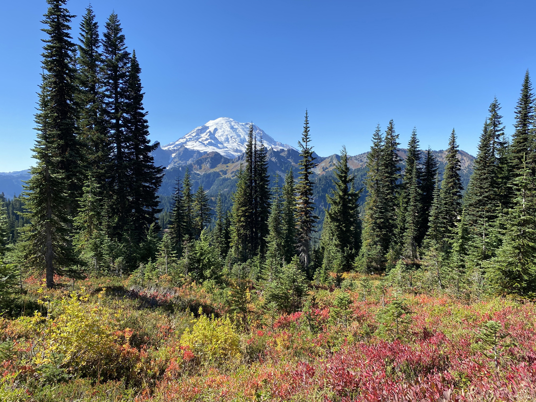 Mt Rainer snow capped mountain against fall colors 