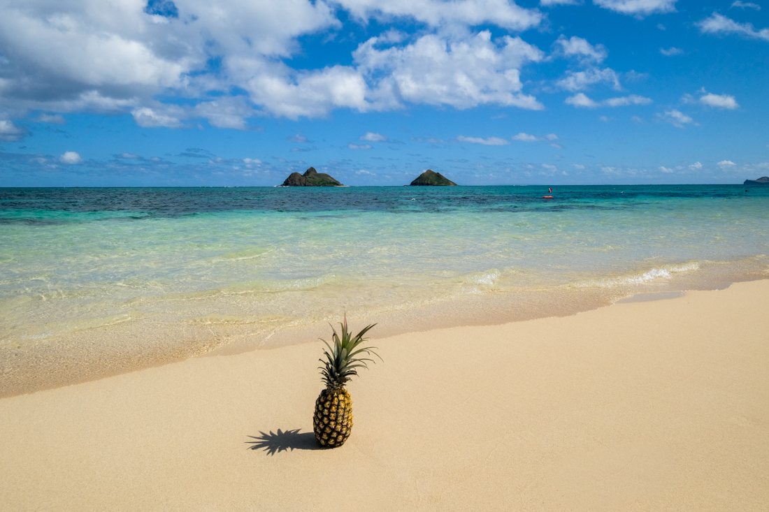 Gold sandy beach with pineapple at Lanikai Beach