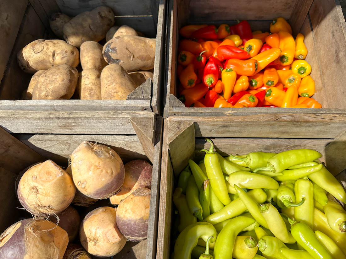 Farmers Market Vegetables close up