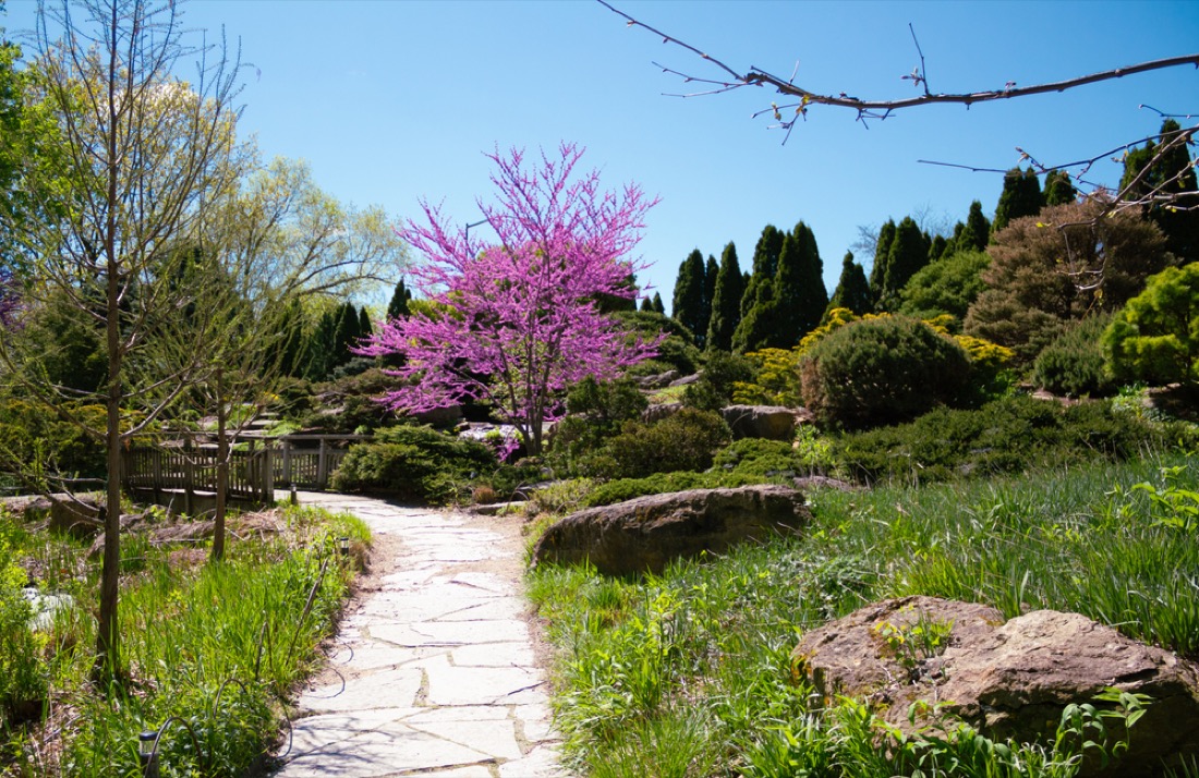 Gardens and path at Olbrich Botanical Gardens in Madison WI